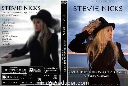 Stevie Nicks Madison Square Garden NY 2011.jpg